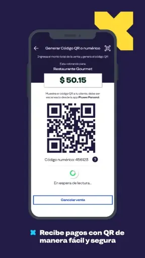 [ICGPLUXEEQR] Conector ICG | Pluxee QR